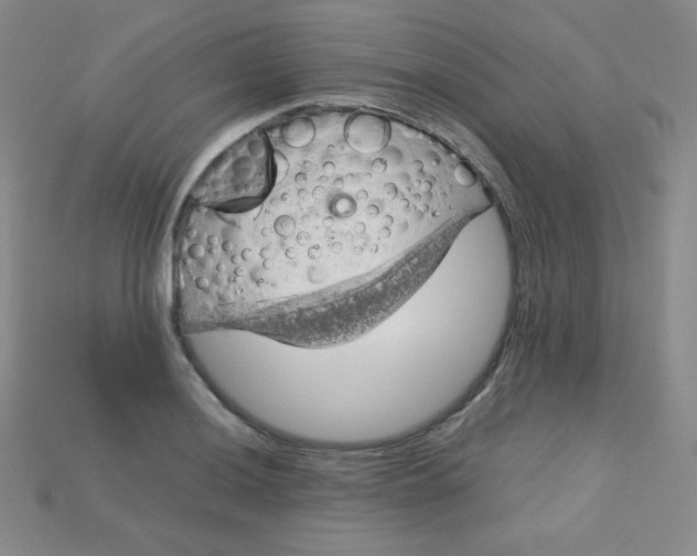 X0000115211036200911121900