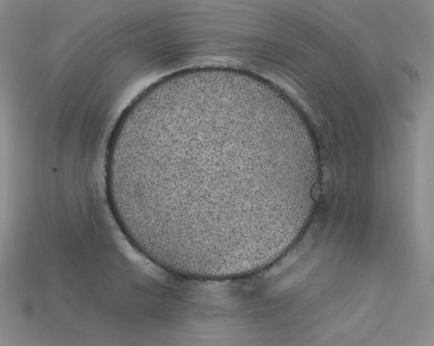X0000115211038200911121900