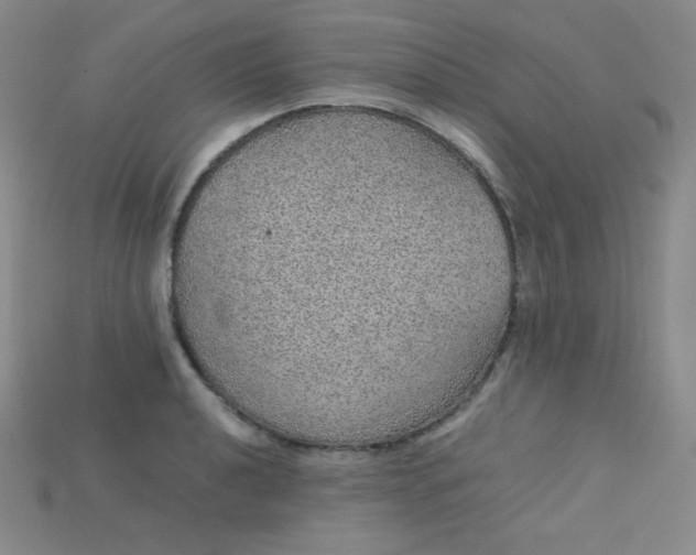 X0000115211040200911121900