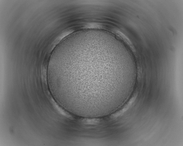X0000115211041200911121900