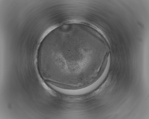 X0000115211042200911121900