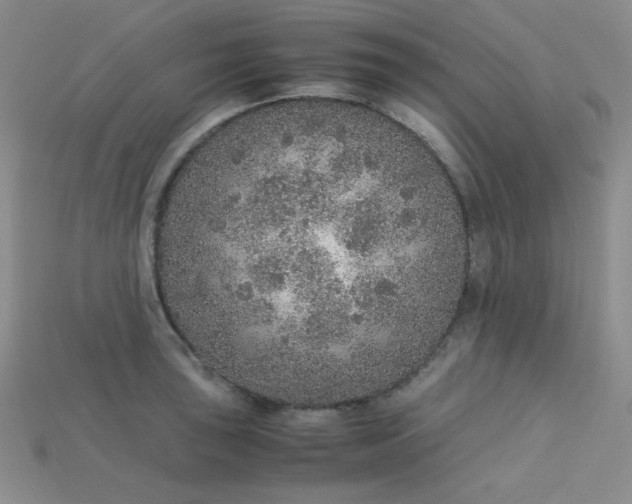 X0000115211043200911121900