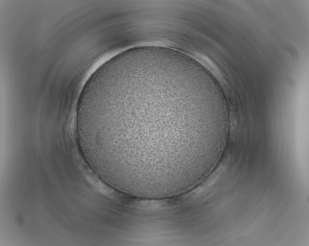 X0000115211044200911121900