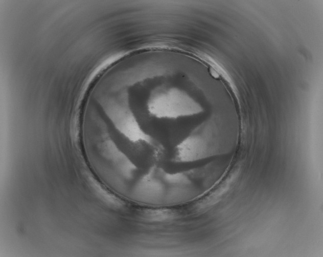 X0000115211045200911121900