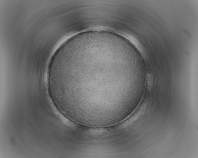X0000115211046200911121900