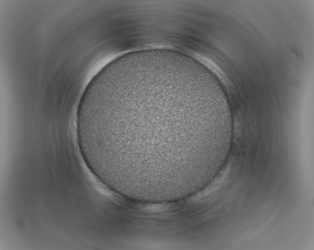 X0000115211047200911121900