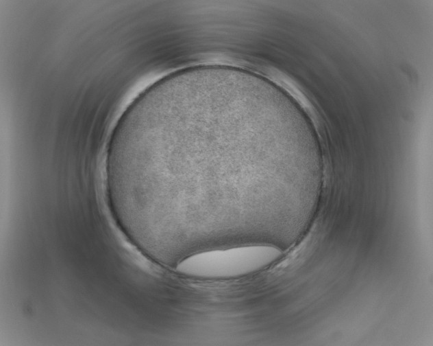 X0000115211048200911121900