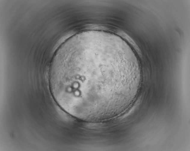 X0000115211049200911121900