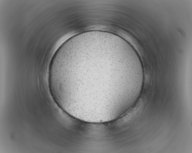 X0000115211050200911121900