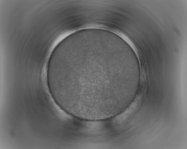 X0000115211053200911121900