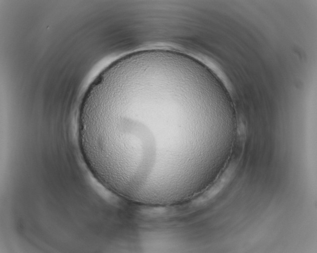 X0000115211054200911121900