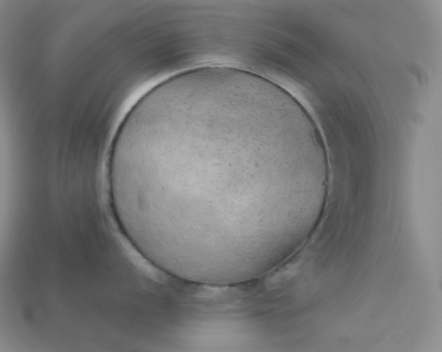 X0000115211056200911121900