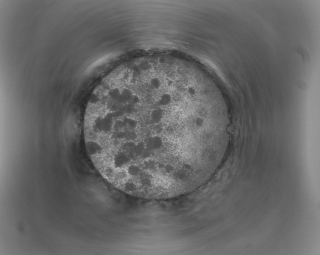 X0000115211063200911121859