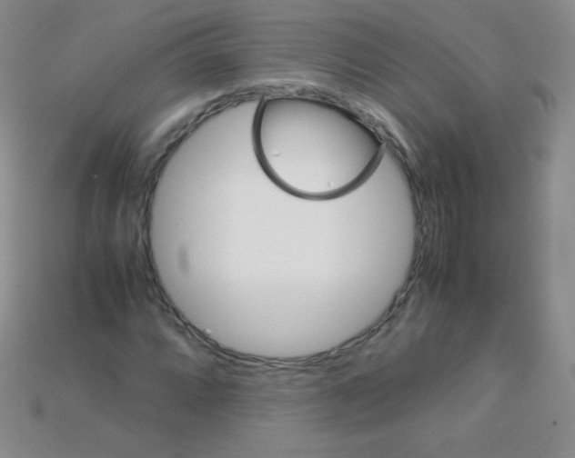 X0000115211064200911121859