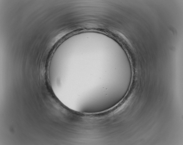 X0000115211065200911121859