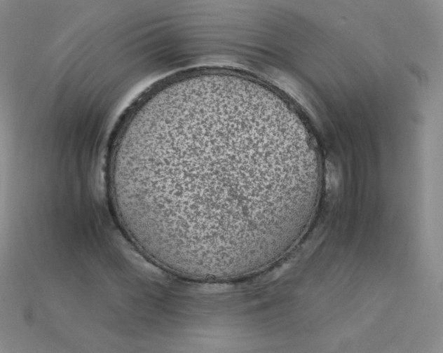 X0000115211068200911121859