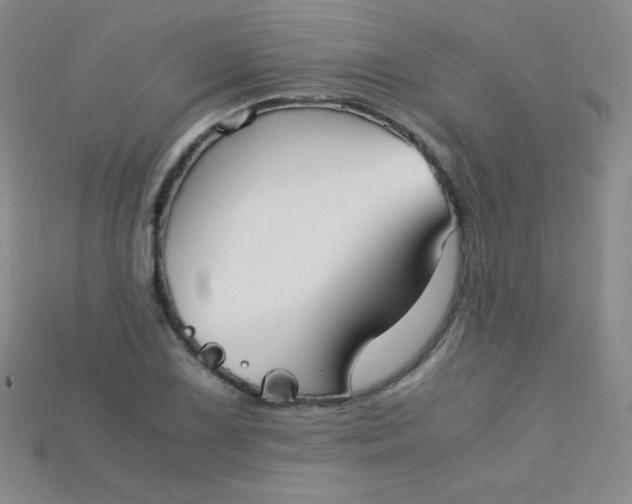X0000115211075200911121859