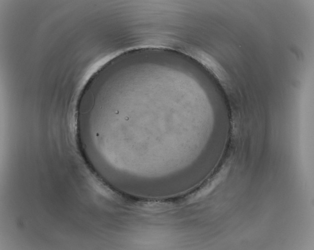 X0000115211077200911121859