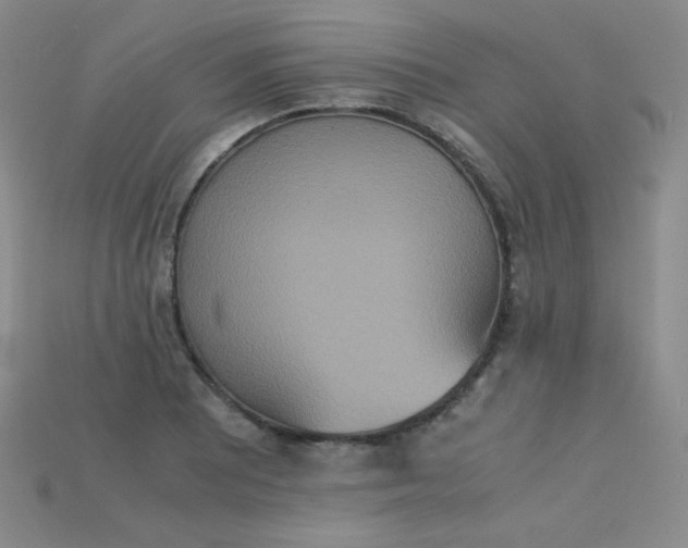 X0000115211081200911121859