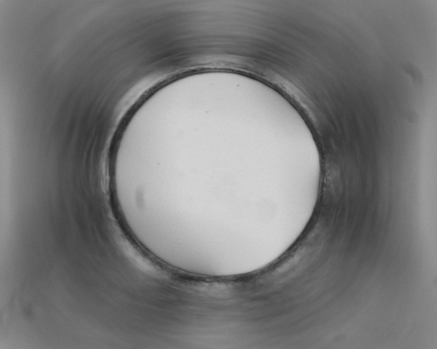 X0000115211082200911121859