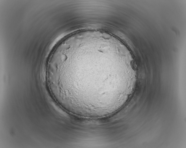 X0000115211083200911121859