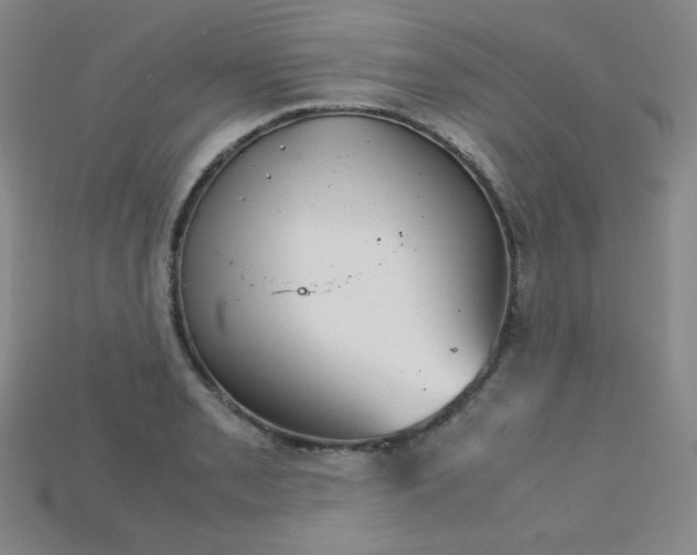 X0000115211085200911121859
