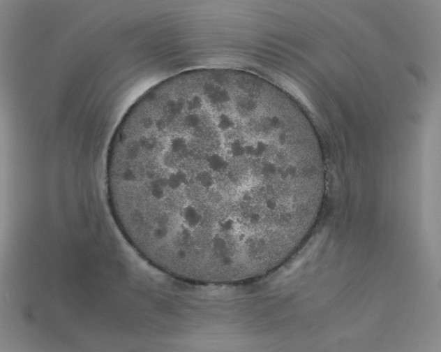 X0000115211087200911121859