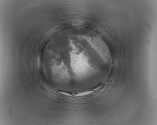 X0000115211106200911121858