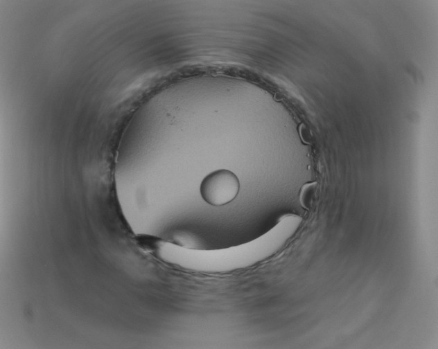 X0000115211110200911121858