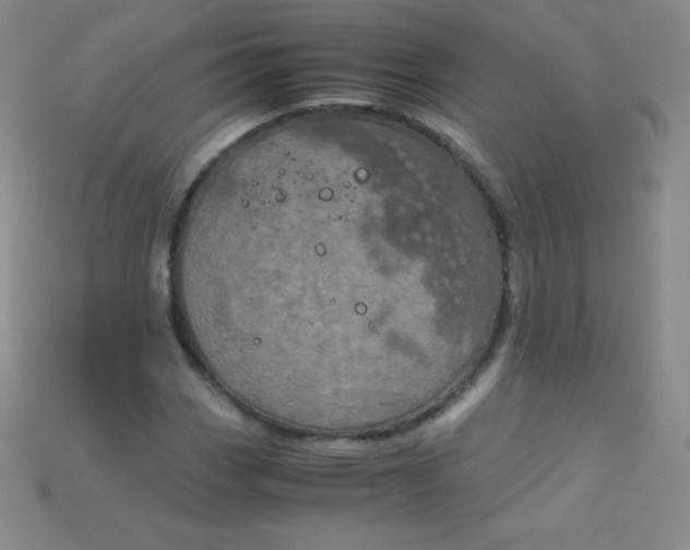 X0000115211113200911121858