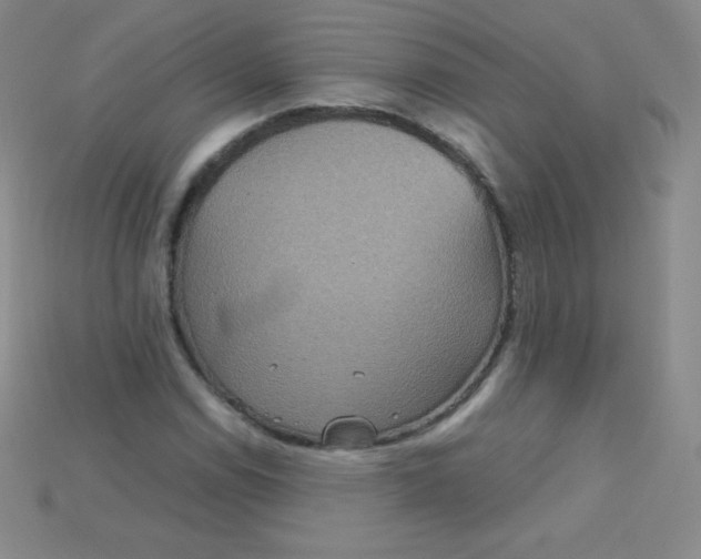 X0000115211114200911121858
