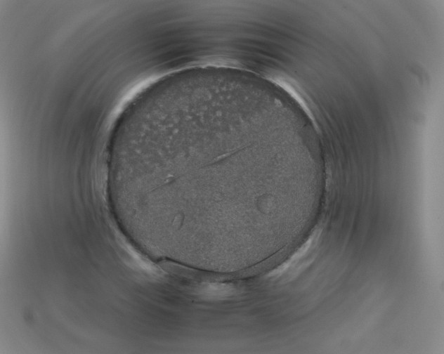 X0000115211115200911121858