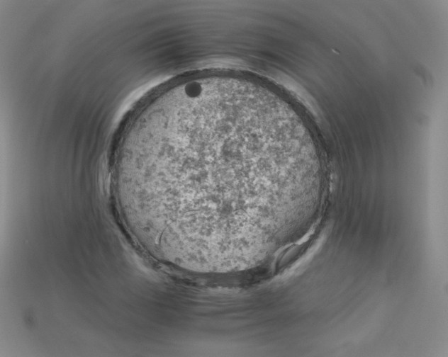 X0000115211117200911121858