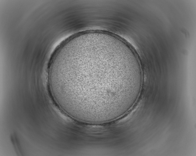 X0000115211119200911121858