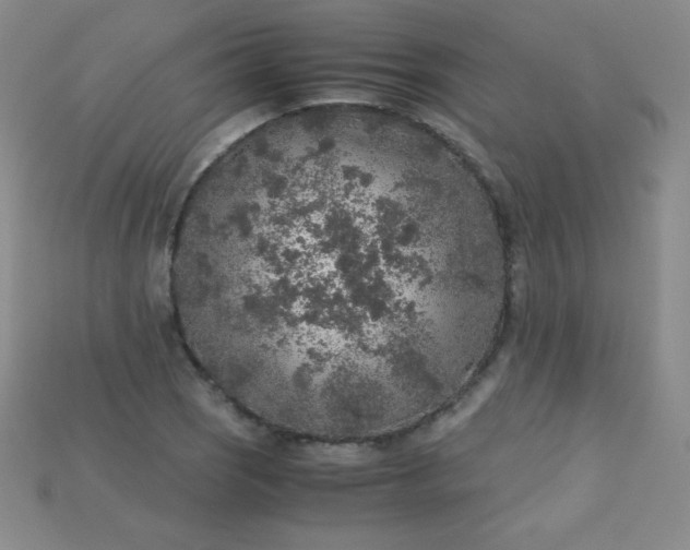 X0000115211121200911121858