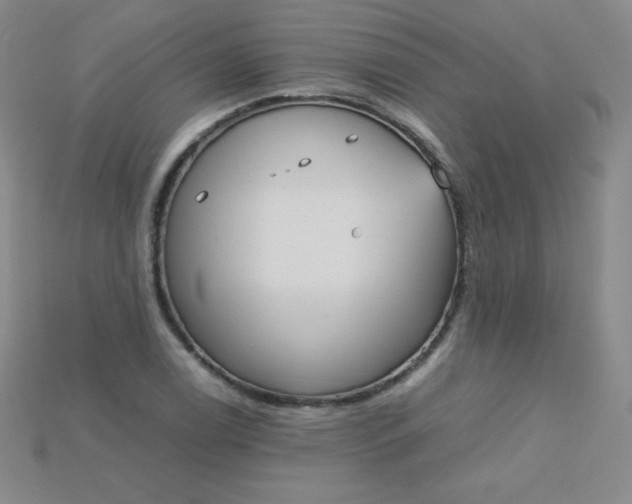 X0000115211122200911121858