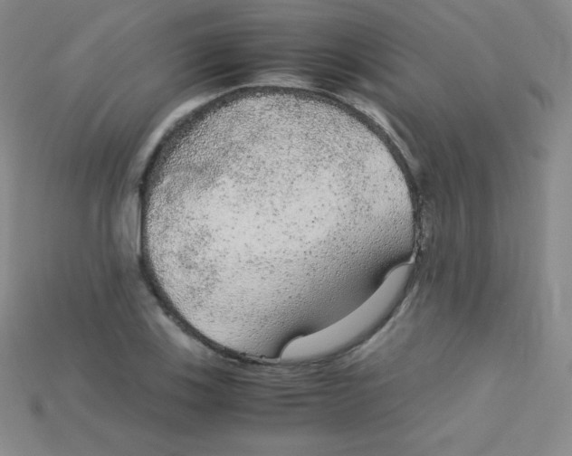 X0000115211123200911121858
