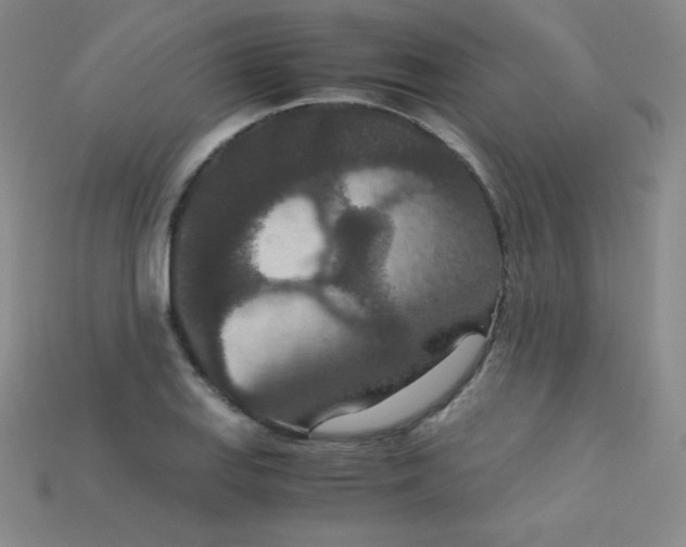 X0000115211127200911121858