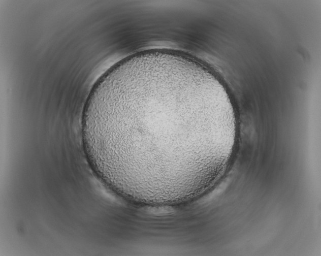 X0000115211129200911121858