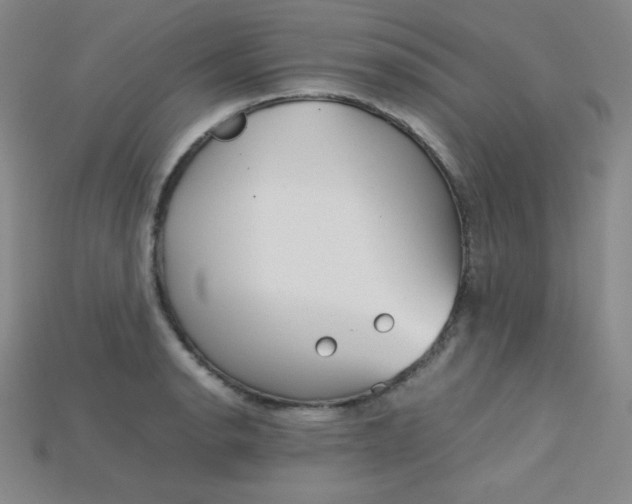 X0000115211134200911121858