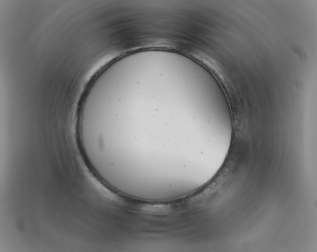 X0000115211135200911121858