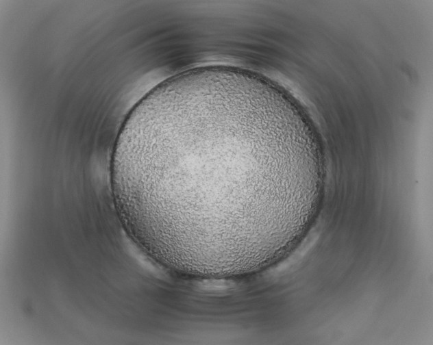 X0000115211137200911121858