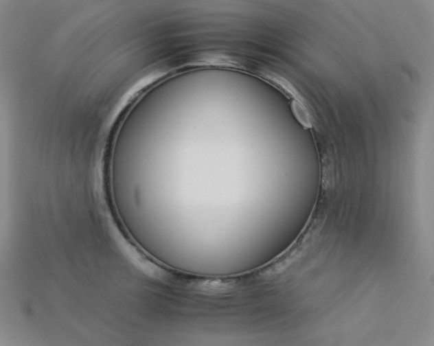X0000115211139200911121858