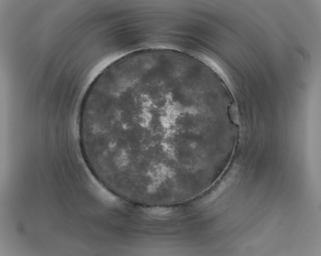 X0000115211141200911121858