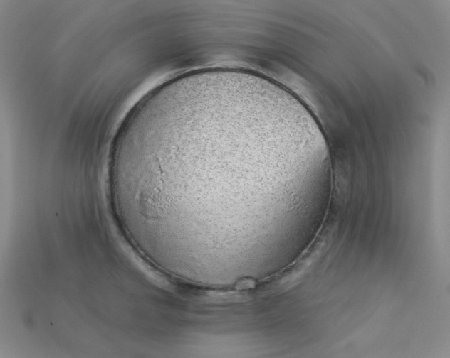 X0000115211142200911121858