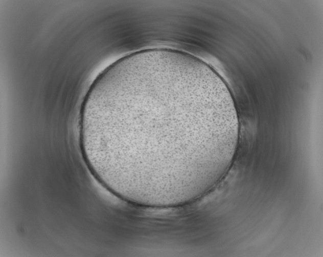 X0000115211143200911121858