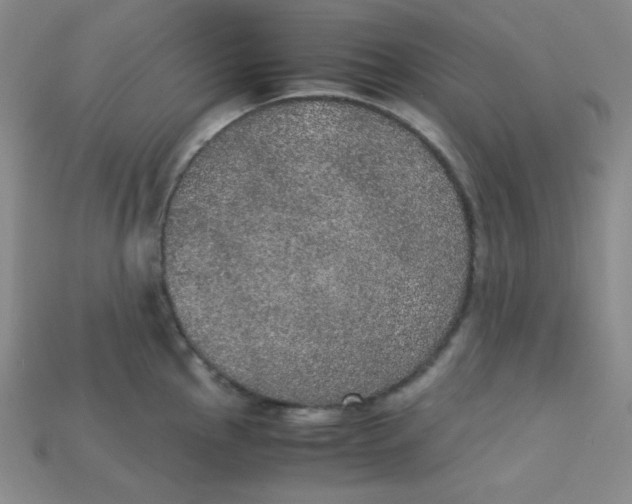 X0000115211145200911121859