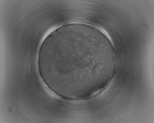 X0000115211146200911121859