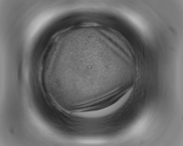 X0000115211151200911121859