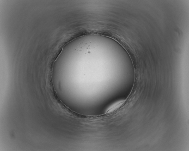 X0000115211153200911121858